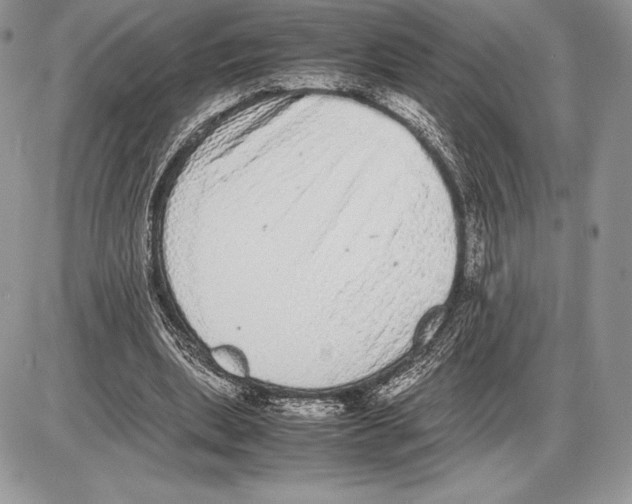 X0000085780439200704131833