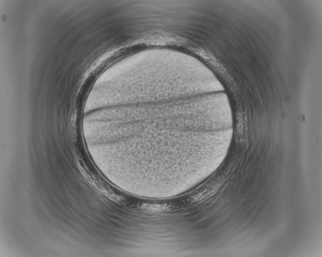 X0000085780440200704131833