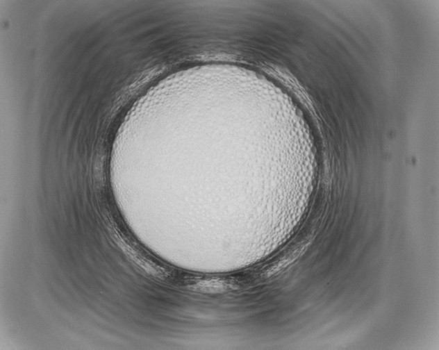 X0000085780441200704131833