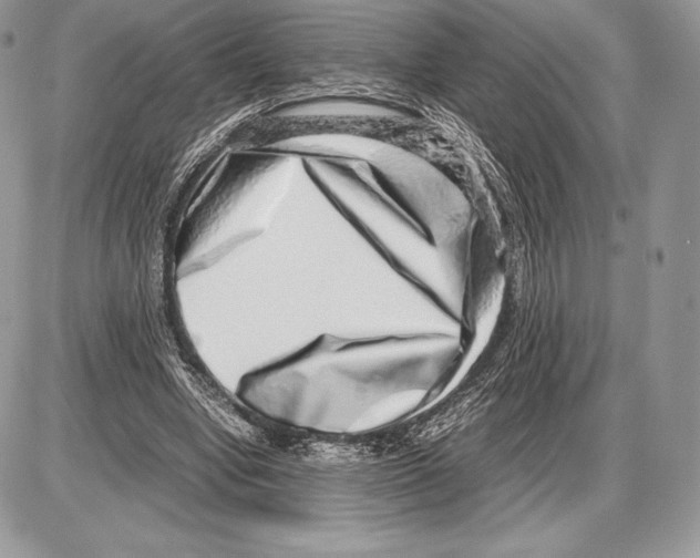 X0000085780442200704131833