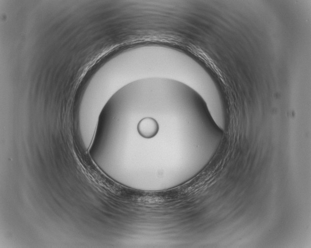 X0000085780444200704131833