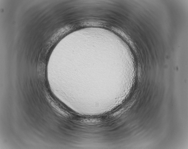 X0000085780445200704131833