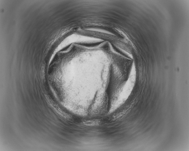 X0000085780447200704131833