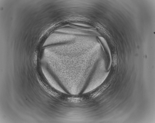 X0000085780448200704131833