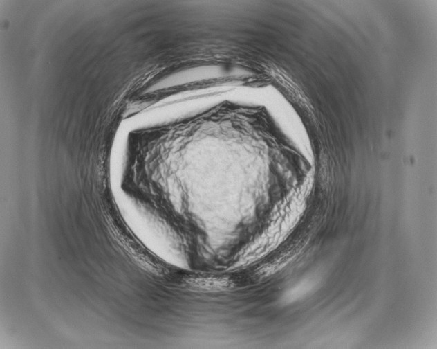 X0000085780449200704131833