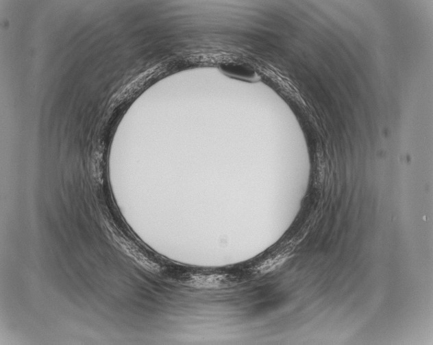 X0000085780450200704131833