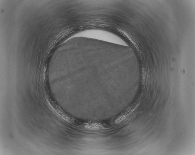 X0000085780451200704131833