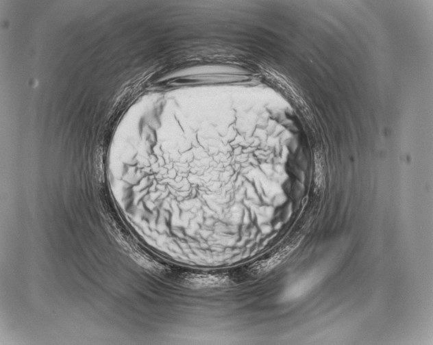 X0000085780453200704131833