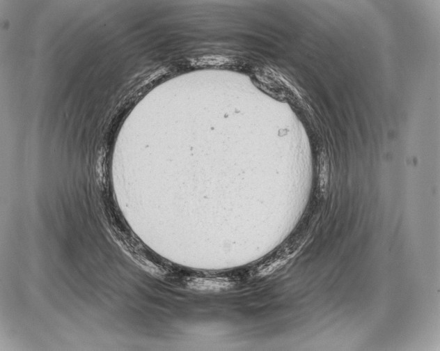 X0000085780455200704131833