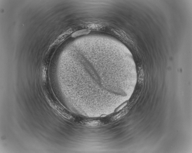 X0000085780456200704131833