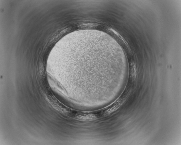 X0000085780459200704131833