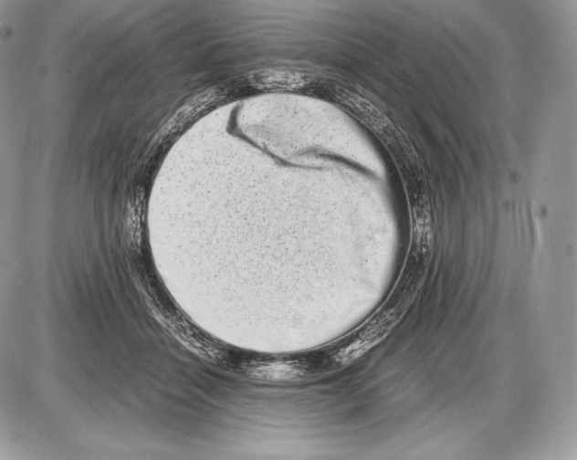 X0000085780460200704131833