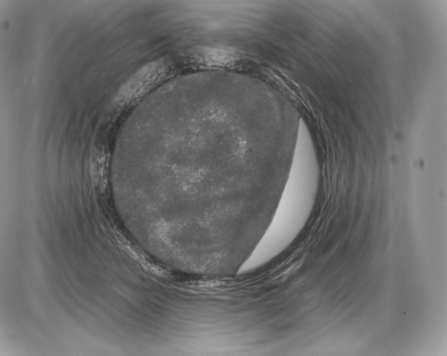 X0000085780462200704131833