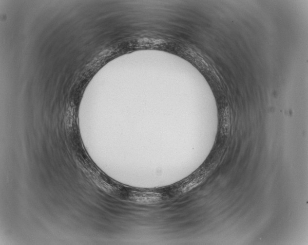 X0000085780463200704131833