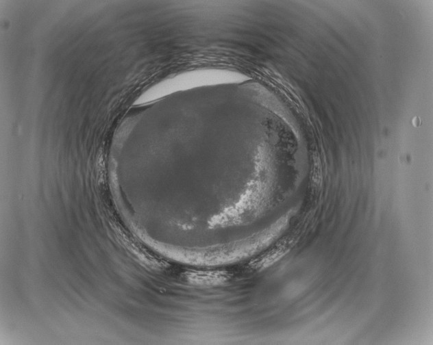 X0000085780465200704131833