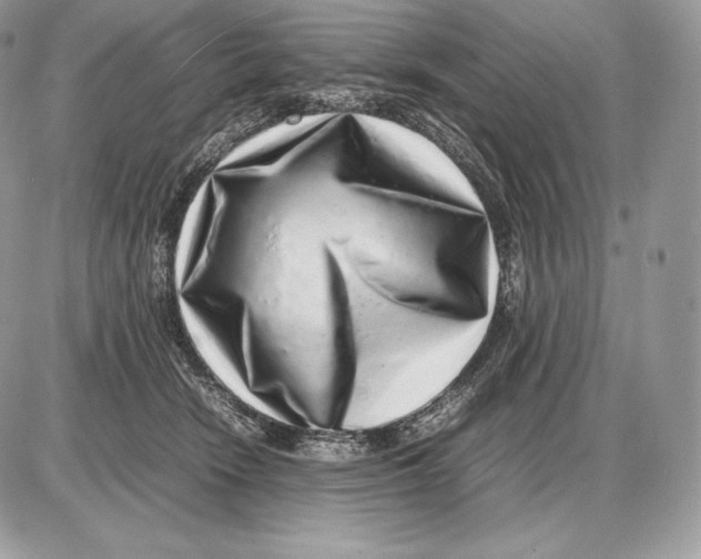 X0000085780466200704131833