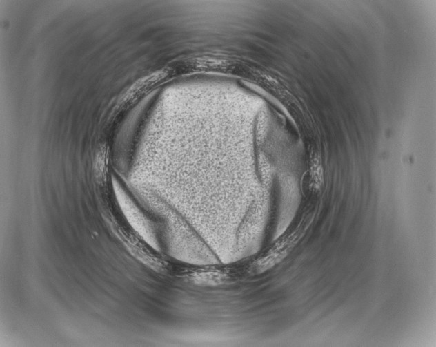 X0000085780468200704131833