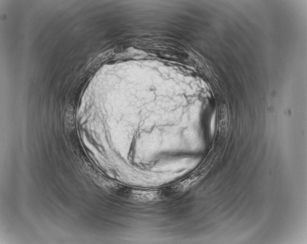 X0000085780469200704131833