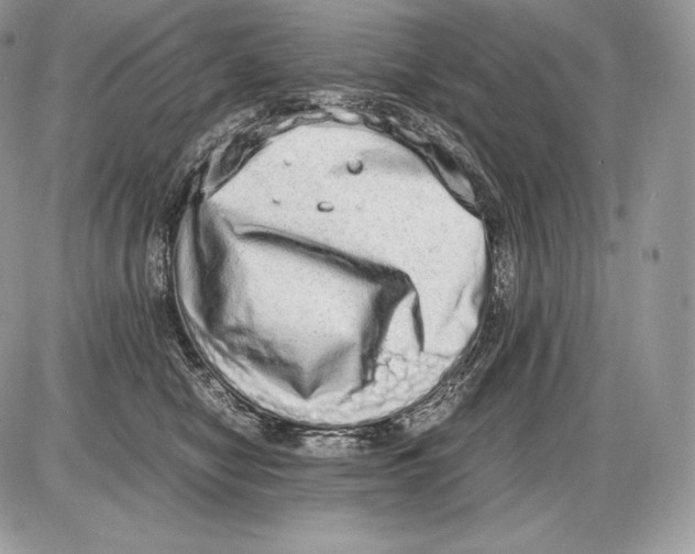 X0000085780470200704131833