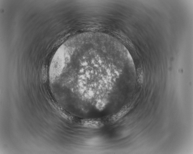 X0000085780471200704131833