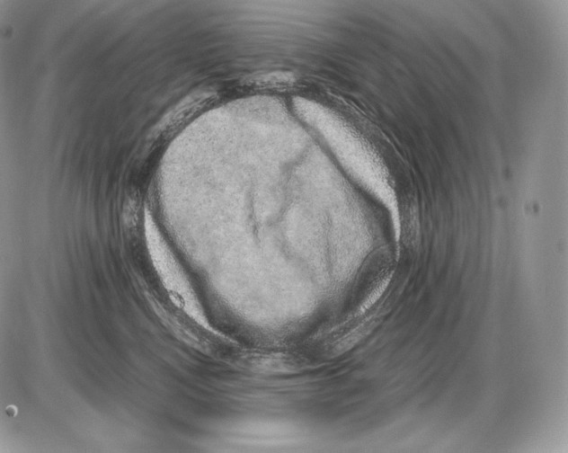 X0000085780472200704131833