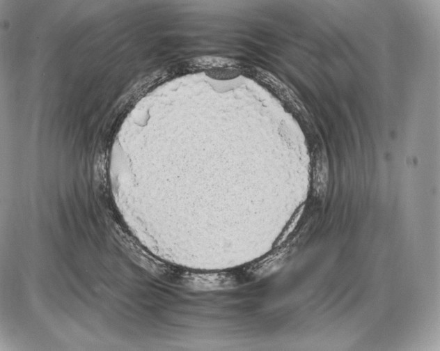 X0000085780473200704131833