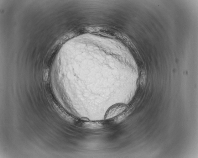 X0000085780477200704131834