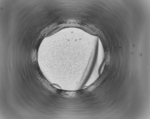 X0000085780478200704131834