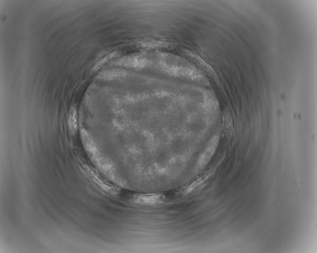 X0000085780479200704131834