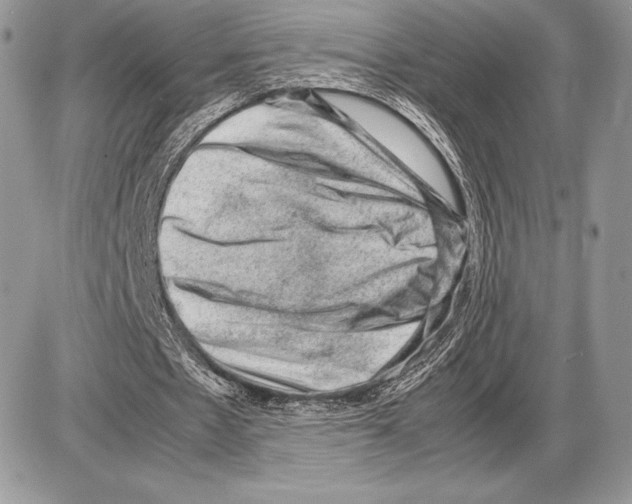 X0000085780481200704131833