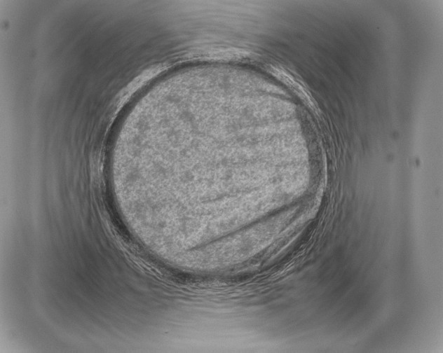 X0000085780483200704131833