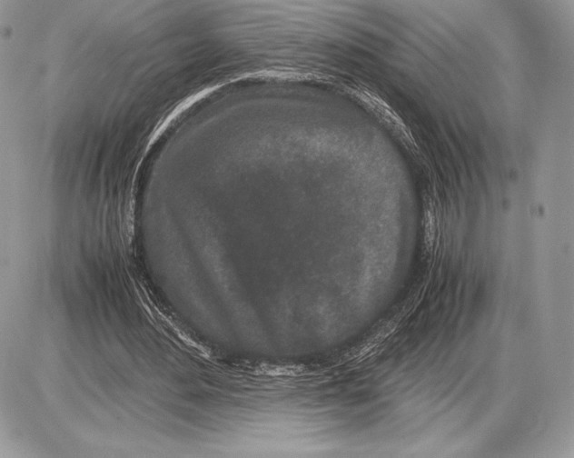 X0000085780484200704131833