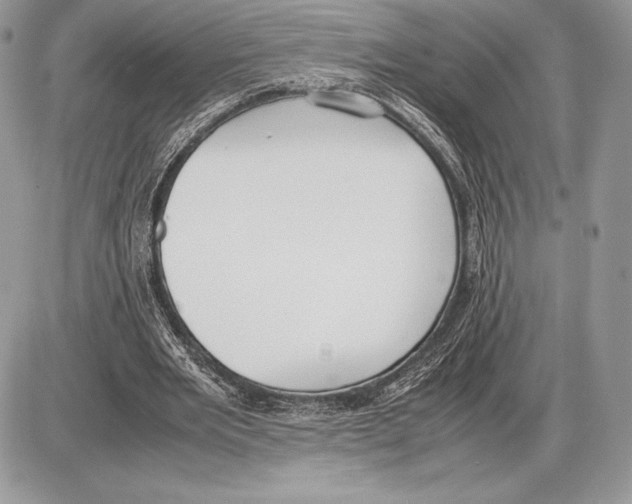 X0000085780485200704131833