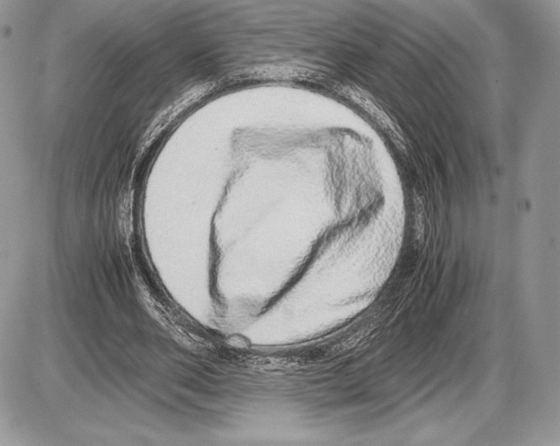 X0000085780486200704131833