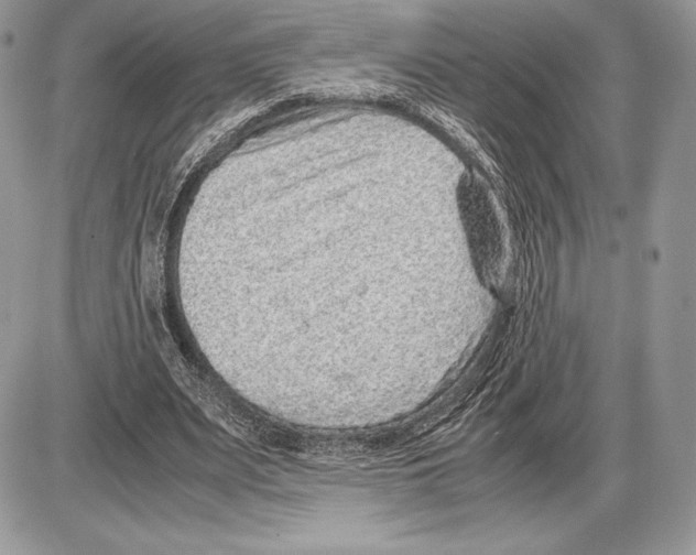 X0000085780487200704131833