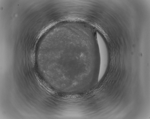 X0000085780488200704131833