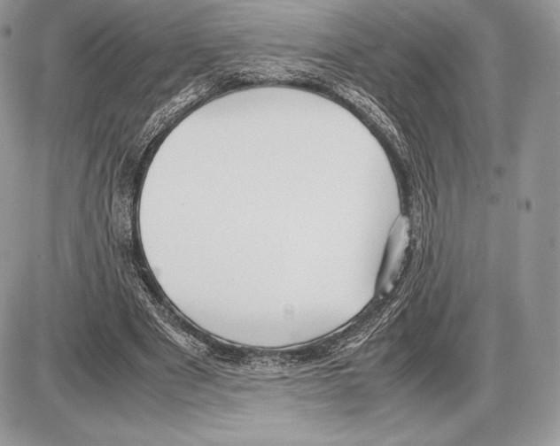 X0000085780489200704131833