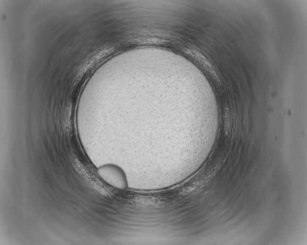 X0000085780490200704131833