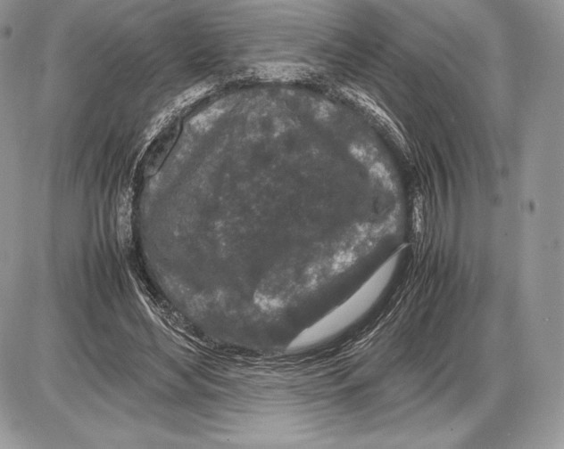 X0000085780492200704131833