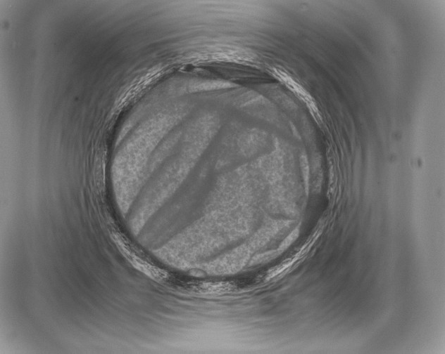 X0000085780493200704131833