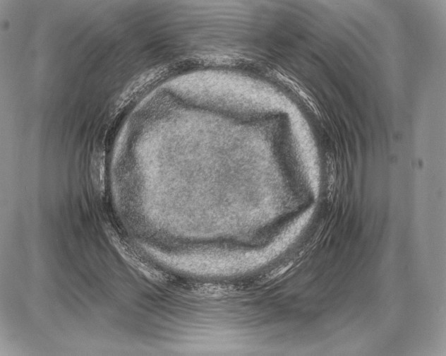 X0000085780494200704131833