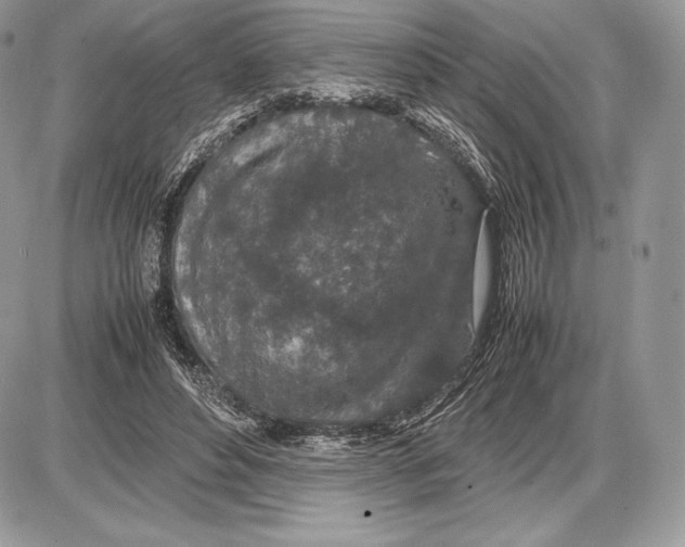 X0000085780496200704131833