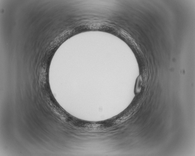 X0000085780497200704131832