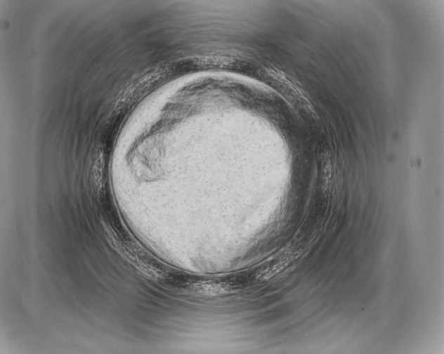 X0000085780498200704131832