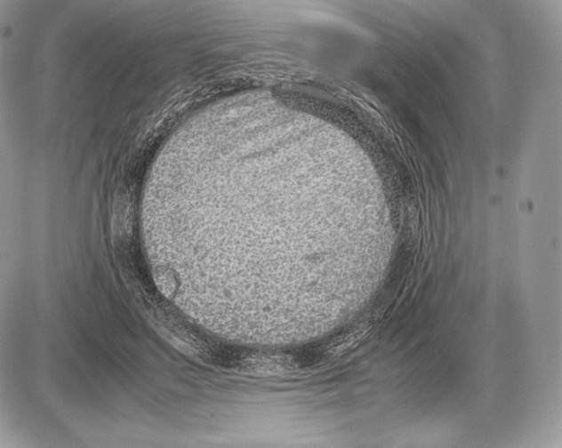 X0000085780499200704131832