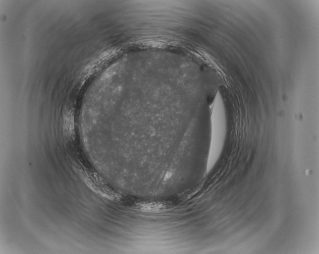 X0000085780500200704131832