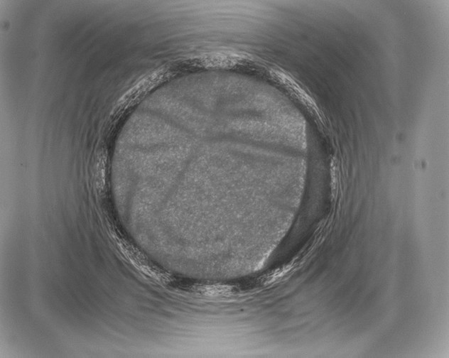 X0000085780501200704131832