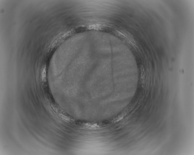 X0000085780502200704131832