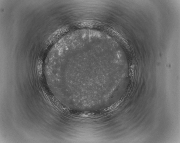 X0000085780504200704131832