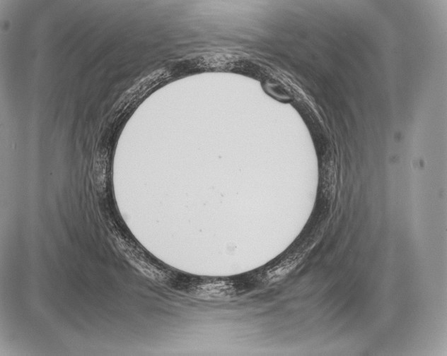 X0000085780505200704131832